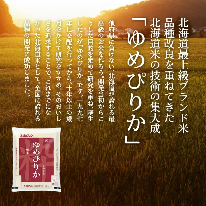 【令和7年産米】【10ヶ月定期配送】（無洗米300g）ホクレンゆめぴりか SBTD151