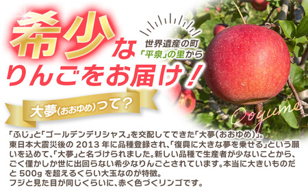 【11月中旬頃より順次発送】〈大玉！〉大文字りんご 大夢（おおゆめ）約5kg (10～12玉) 【2026年11月15日までの受付】【dma004-big】 