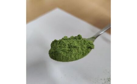 緑茶 粉末 春摘み 京都 緑茶【2袋】
