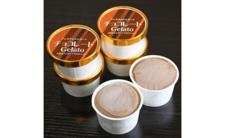 プレミアムジェラート チョコレート 100ml×12個_V7132