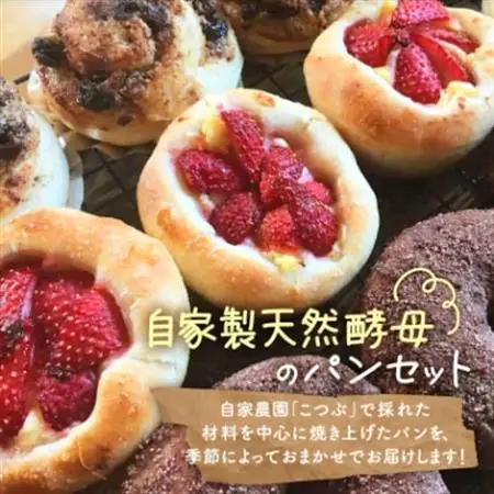 【10個入り】パン屋kotubuの自然の恵みのパンセット(小)_ パン  ぱん_【配送不可地域：離島】【1352129】