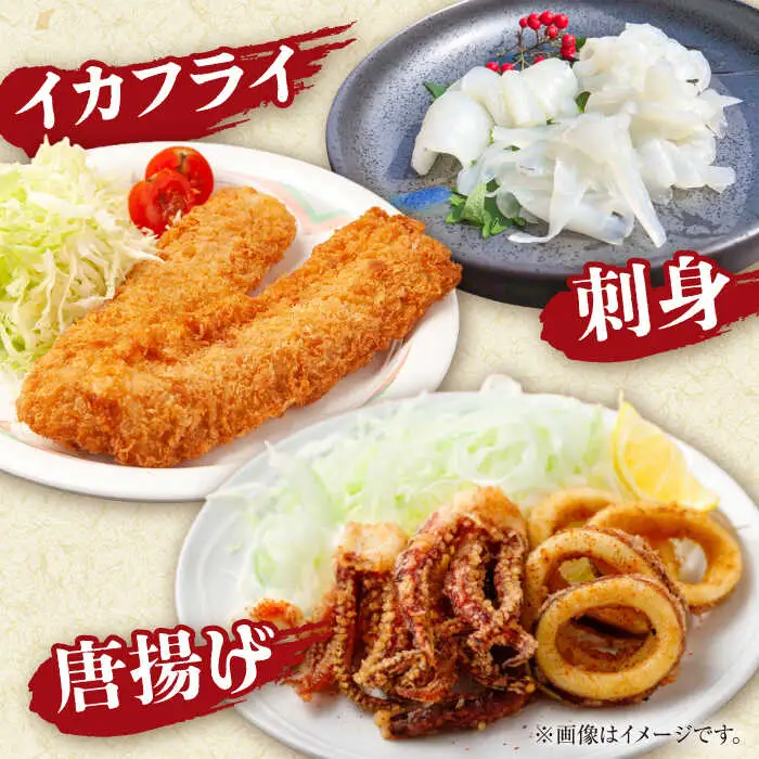 【2月-発送】【着日指定】【おいしい南島原 認定】漁港直送！ 活〆 幸イカ 5杯 約1500g / いか　新鮮　海鮮物　刺し身　揚げ物　簡単調理　キャンプ　BBQ / 南島原市 / 深江町漁業協同組合[SBO004]