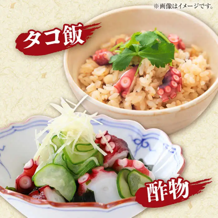 【着日指定】島原半島 はしり蛸(中たこ) 3杯　約2400g / タコ　新鮮　海鮮物　刺し身　揚げ物　酢物　キャンプ　BBQ / 南島原市 / 深江町漁業協同組合[SBO005]