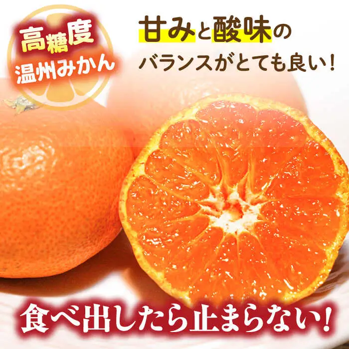 【2026年11月下旬-発送】【高糖度】訳あり 温州みかん 約3kg（傷もの）/ みかん ミカン 蜜柑 果物 フルーツ / 南島原市 / 南島原果物屋[SCV022]