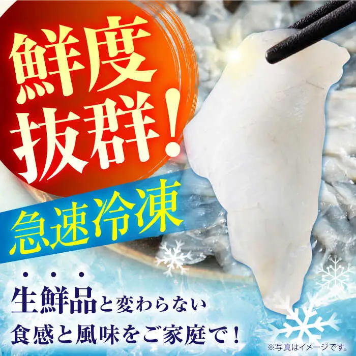 とらふぐの刺し身＆ヒラメの薄造り 大皿×各1枚 計250g [SFJ027] ふぐ