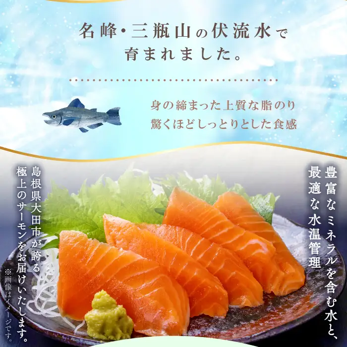 さんべサーモン 400g【サーモン 400g フィレ サーモントラウト ニジマス サーモン さけ シャケ しゃけ sake 生食用 刺身 お刺身 刺し身 魚介類 海鮮 冷凍 真空パック】