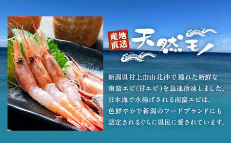 【11月頃発送予定】「南蛮エビ（甘エビ）」650g 新鮮！県北寝屋漁港直送！ 1043005 海老 えび 冷凍