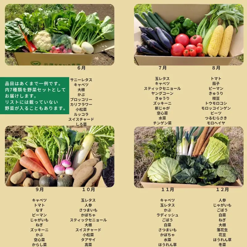 【2027年6月上旬～8月下旬迄発送・定期便3回】信州 朝採れ 旬の高原野菜セット おまかせ7種 (北海道・沖縄県・離島は配送不可) 長野県 佐久市 栽培期間中農薬不使用 産地直送 季節 旬彩 先行予約 農家 農園