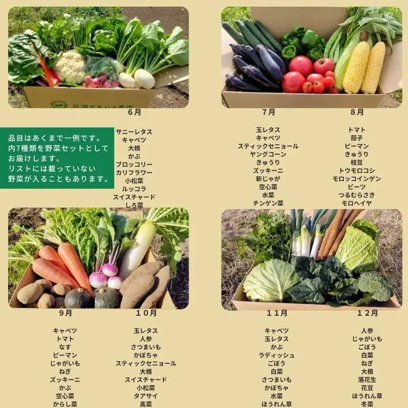【産地直送・新鮮】朝採れおまかせ旬の高原野菜 7種セット (出荷時期 : 2026年6月～12月／北海道・沖縄県・離島は配送不可) 　|  信州 栽培期間中 無農薬  産直 季節 旬  岩渕なないろ農園 旬彩