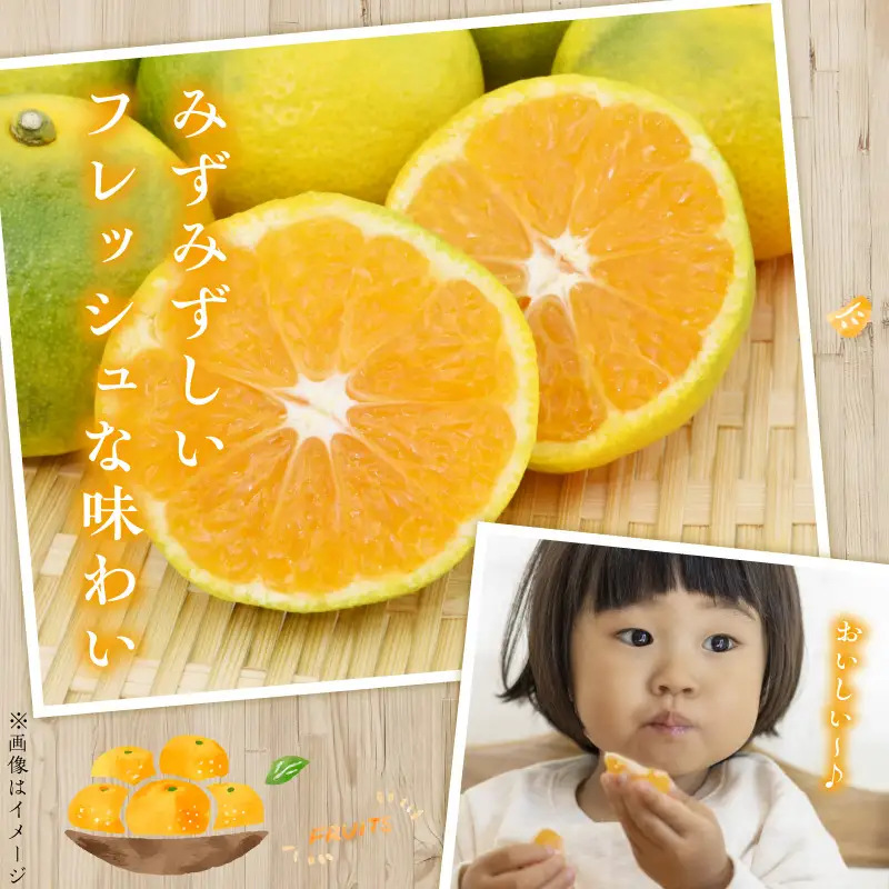 進栄【贈答用】温州みかん約5kg_U68-0131