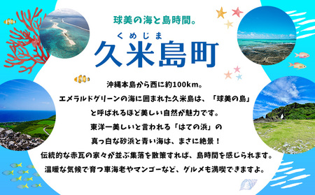 HISふるさと納税クーポン（沖縄県久米島町）30万円分