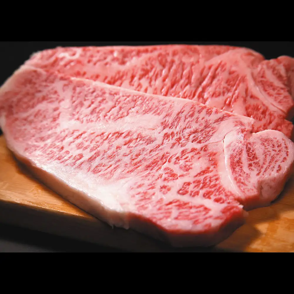 【A4～A5】佐賀牛サーロインステーキ 500g(250g×2枚)(H112105)