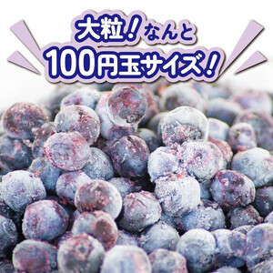 冷凍 ブルーベリー 約1850g 【 ブルーベリー 】