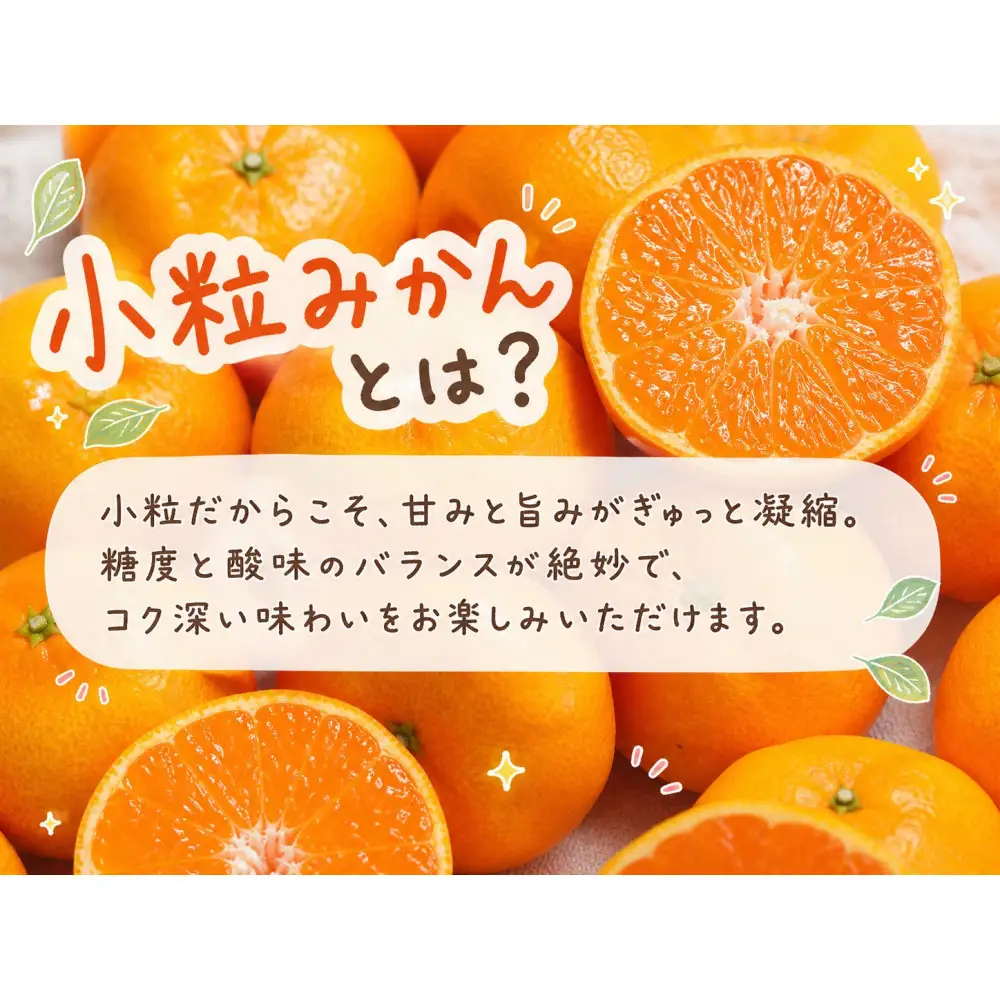 有田の小粒みかん 約5kg (S～3Sサイズ混合)［2026年11月下旬以降発送］［先行予約］［UT134］