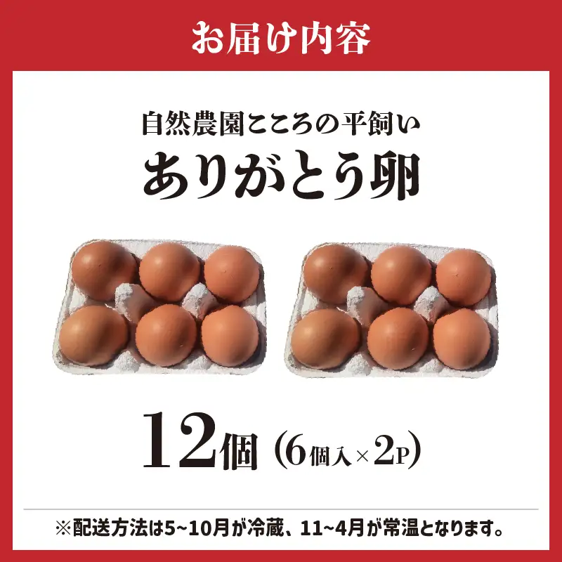自然農園「こころ」の平飼い『ありがとう卵』 12個（6個×2パック）_kn089-003