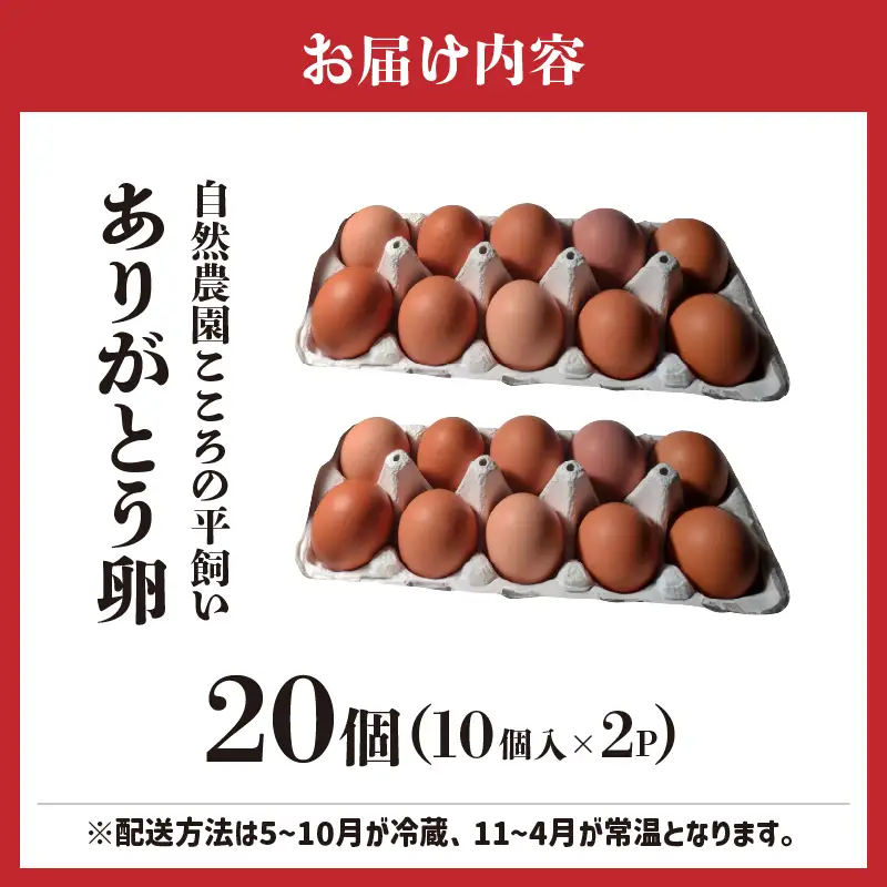 自然農園「こころ」の平飼い『ありがとう卵』 20個（10個×2パック）_kn089-003-01