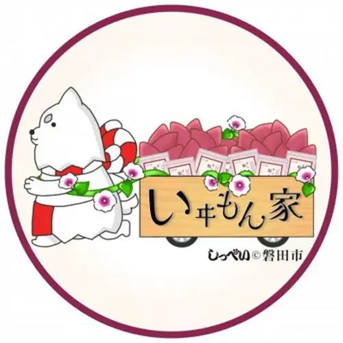 国産紅はるか　干し芋ギフトボックス　600g(120g×5袋)_果物・フルーツ 干し芋 ドライフルーツ ほしいも ホシイモ_【1547012】