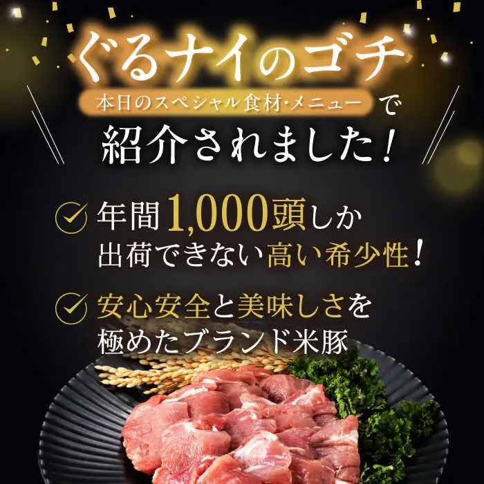 黒豚諫美豚プレミアム100 ヒレカツ用 600g / 豚肉 肉 ヒレ 黒豚 とんかつ トンカツ / 諫早市 / 株式会社土井農場 [AHAD078]