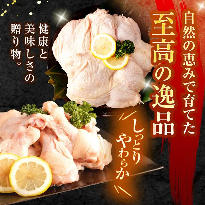 【3回定期便】【長崎県産】長崎夢みどり(鶏もも肉1kg×2P、手羽元1kg×2P・4kgセット) / モモ肉 もも肉 手羽 手羽元 鶏肉 / 諫早市 / 西日本フード株式会社 [AHAV016]
