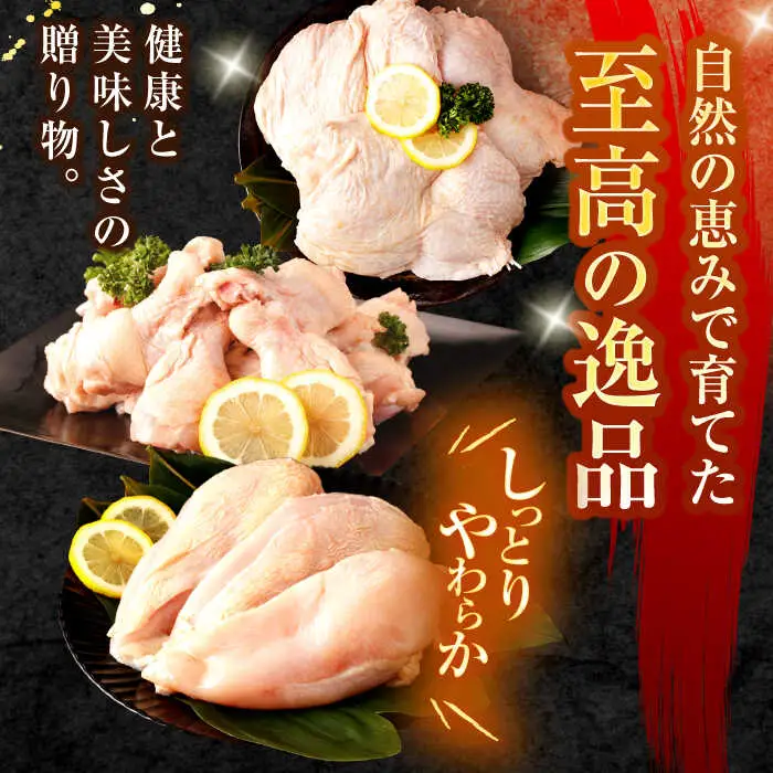 【3回定期便】【長崎県産】長崎夢みどり（鶏もも肉1kg×3P・むね肉1kg×2P・手羽元1kg×3P8kgセット）/ モモ肉 ムネ肉 手羽元 鶏肉 / 諫早市 / 西日本フード株式会社 [AHAV019]