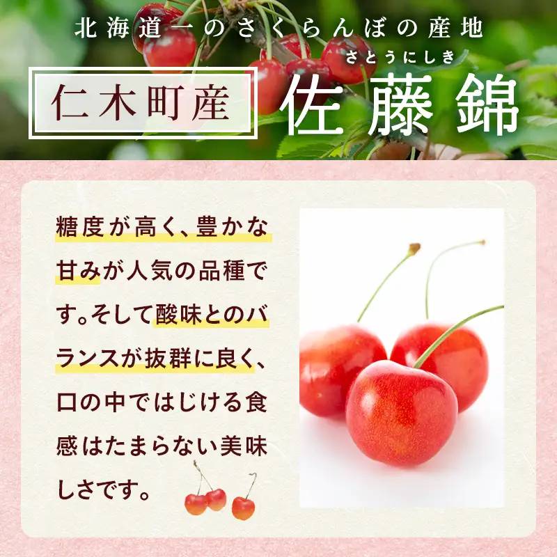 さくらんぼ 佐藤錦 600g Lサイズ 北海道 仁木町 さくらんぼ
