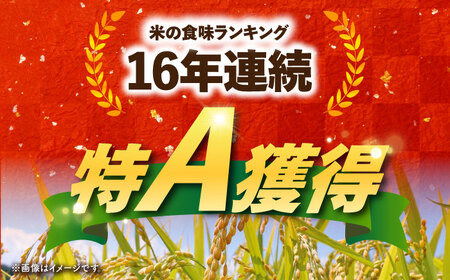令和7年産 さがびより 玄米 5kg（一等米） [HDC002] 玄米 米 玄米 米 玄米 玄米 玄米 玄米