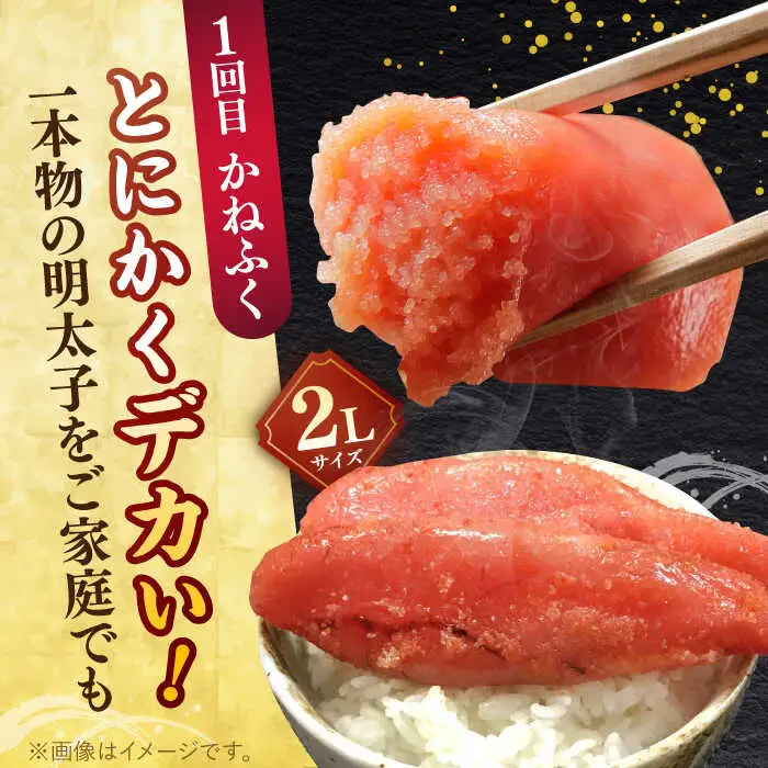 【全4回定期便】【博多の定番！】辛子明太子 贅沢 食べ比べ 定期便（かねふく 福さ屋 海千 フィッシャーマンズクラブ） 桂川町/桂川町ふるさと納税 [ADBV014] 明太子 辛子明太子 セット 柚子 定期便