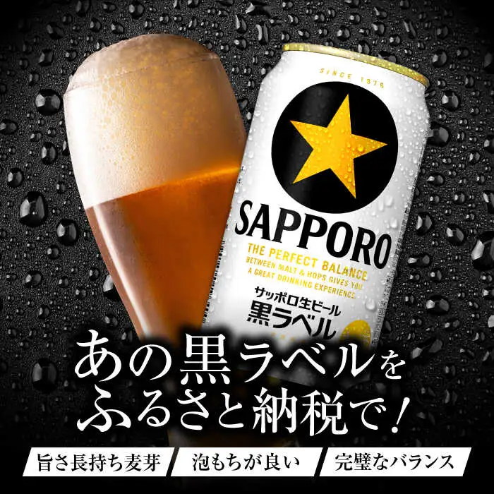 【全10回定期便】サッポロ生ビール 黒ラベル 500ml×24缶  合計240缶 /ビール お酒  黒ラベル 大分 日田 サッポロビール /[ARDC084]