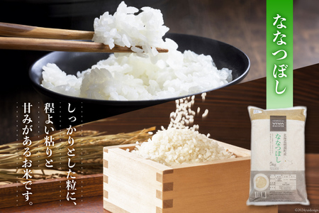 米 令和8年 ななつぼし 5kg ×2 計10kg