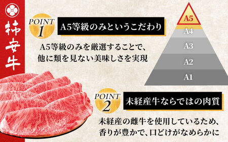 【3回定期便】最高級A5等級 三重県産 黒毛和牛 柿安牛 サーロインステーキ 400g / 国産牛 和牛 ブランド牛 牛肉 冷蔵 高級肉 ギフト 贅沢 / 亀山市 / 柿安本店 [AMBW021]