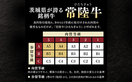 牛すじカレー 200g×6個 茨城県 ブランド牛 常陸牛 使用 521
