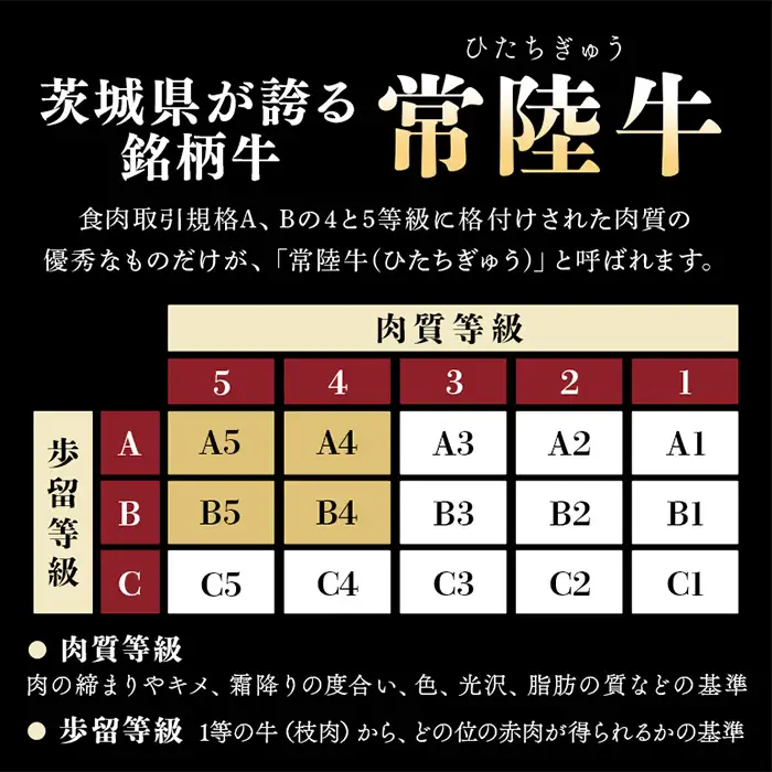 とろけるビーフシチュー 約1kg 180g×6個 茨城県 ブランド牛 常陸牛 使用 522