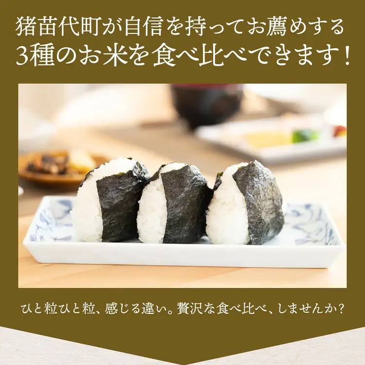 令和7年産 いなわしろブランド米3個セット( 精米 ) 各300g ｜ お米 白米 真空パック 食べ比べ 福島 和食