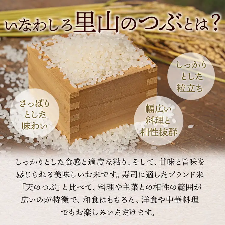 令和7年産 猪苗代町ブランド米 いなわしろ里山のつぶ( 精米 ) 5kg ｜ お米 白米 福島 和食