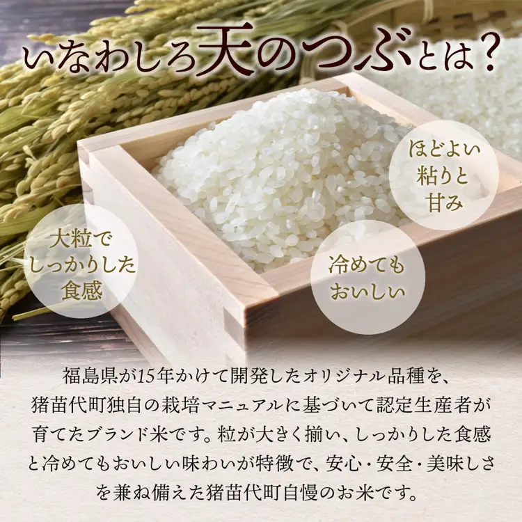 令和7年産 猪苗代町ブランド米 いなわしろ天のつぶ( 精米 ) 10kg ｜ お米 白米 福島 大粒 寿司 和食