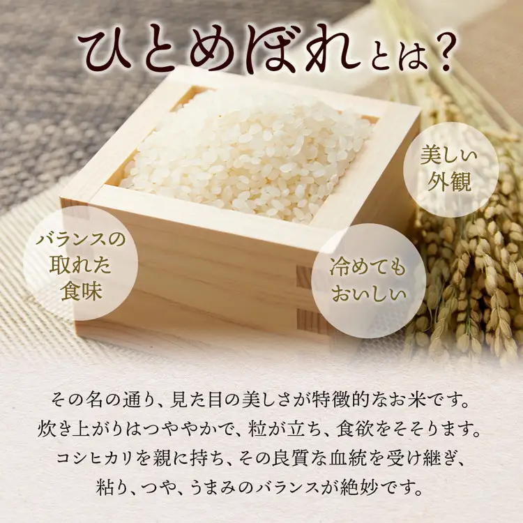 令和7年産 いなわしろひとめぼれ( 精米 ) 5kg ｜ お米 白米 福島 やわらかい 和食