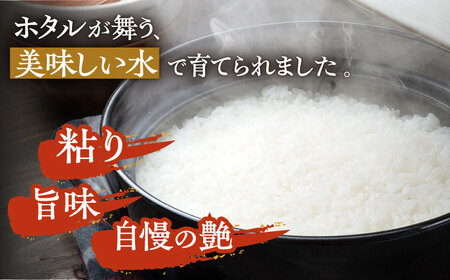 対馬産 なつほのか 5kg×4 「ほたる舞う三根川の米」  小分け 新鮮 産地直送 米 お米 弁当 白米 20kg 5kg [WAJ019]