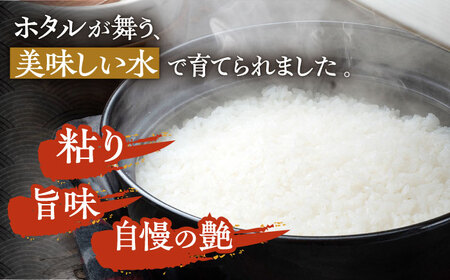 対馬産 ひのひかり 5kg×4 「ほたる舞う三根川の米」  小分け 新鮮 産地直送 米 お米 弁当 白米 20kg 5kg [WAJ020]