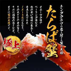 26-33 【甲羅組】カット済み特大生たらば蟹足