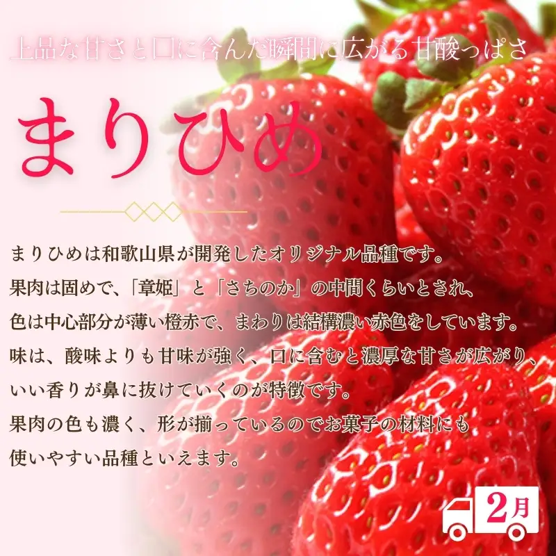 【全3回】紀州和歌山産 旬のフルーツ定期便（いちご・桃・巨峰） 【tkb400】