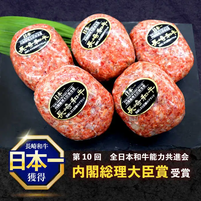 長崎和牛ハンバーグ 10個[OCE067]