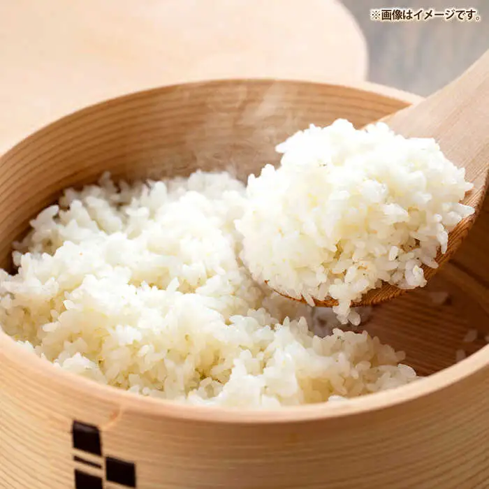 壱岐産米 なつほのか 10kg 《壱岐市》【壱岐市農業協同組合】[JBO146]