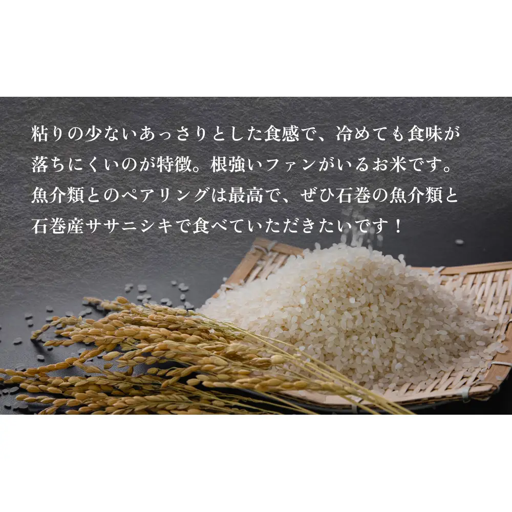 令和7年産 石巻産 ササニシキ 精米 10kg 米 お米 白米 コメ ご飯 主食