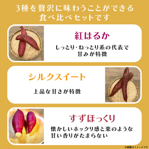 熟成さつまいも 3種食べ比べセット 合計5kg 詰め合わせ（紅はるか・シルクスイート・すずほっくり） ｜ 茨城県 大子町 サツマイモ べにはるか 焼き芋 ホクホク 野菜 数量限定 ねっとり しっとり(CH002)