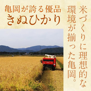 【3回定期便】【無洗米】丹波産キヌヒカリ 6kg 真空パック 無洗