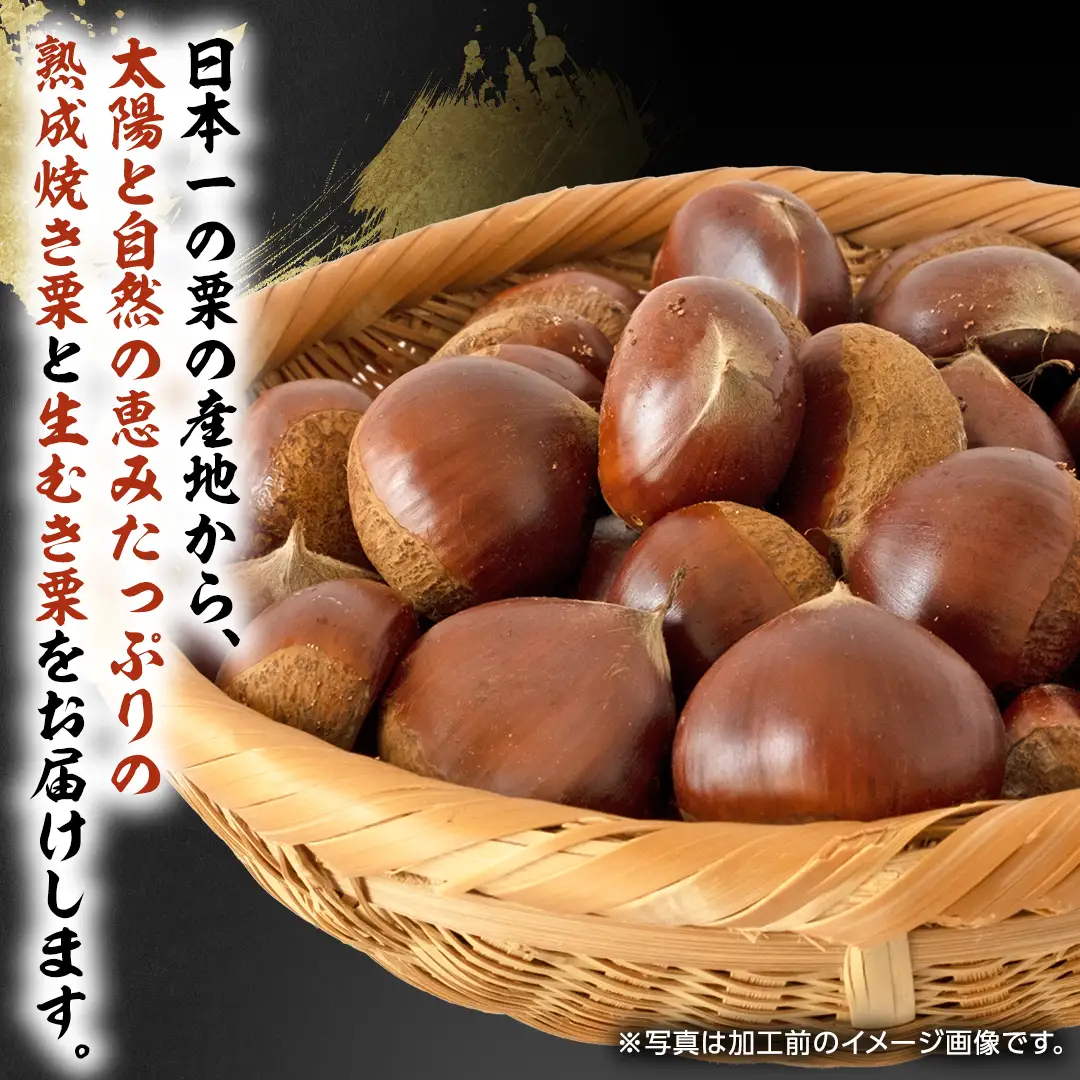 《 2026年 収穫分 》 熟成 生むき栗 ( 120g × 3袋 ) ＆ 焼き栗 ( 200g × 2袋 ) 先行予約 吉原農場 国産 完熟 栗 くり クリ 栗ごはん 栗きんとん 和栗 生栗 焼栗 おやつ 和菓子 果物 フルーツ 贈答 ギフト 旬 秋の味覚 秋 冬 正月 おせち 小分け セット 食べ比べ [FC006sa]