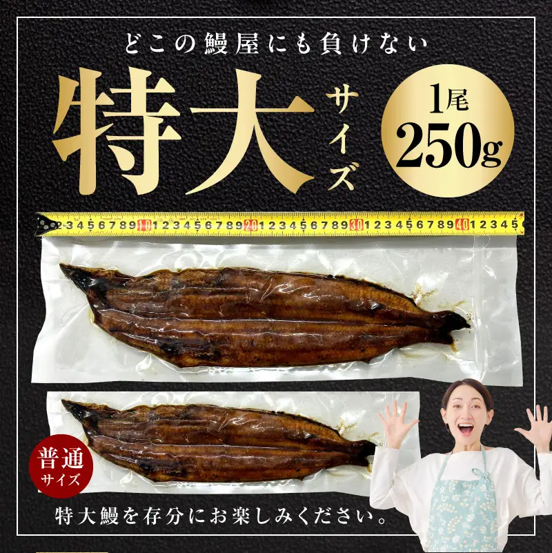 老舗【五郎藤】 関西風地焼き 国産有頭旨鰻 250g×2尾