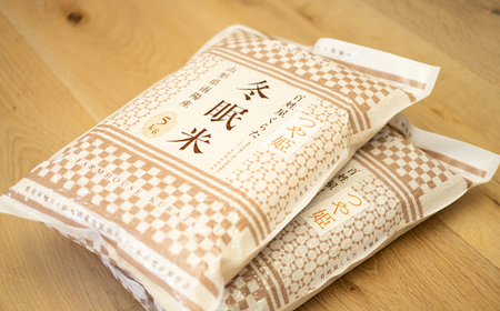 【冬眠米(賞味期限一年)】 令和7年産 特別栽培米 つや姫 (精米) 10kg (5kg×2袋) 『百姓屋 くらた』 米 白米 ご飯 農家直送 長期保存 災害 備蓄 山形県 南陽市 [2276]
