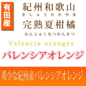 秀品 希少な国産バレンシアオレンジ 5kg