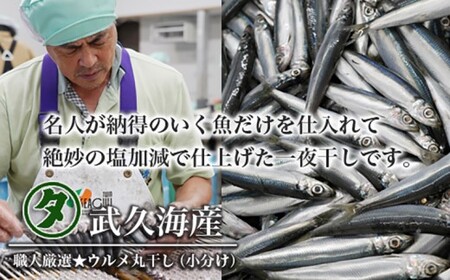 魚 丸干し 開き セット 2.5kg 丸干し